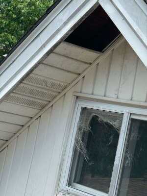 Fascia and Soffit in Cleveland, Ohio